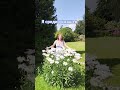 Я среди ромашек. | РКИ