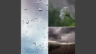 Spirited Backdrops for Soothing Storms