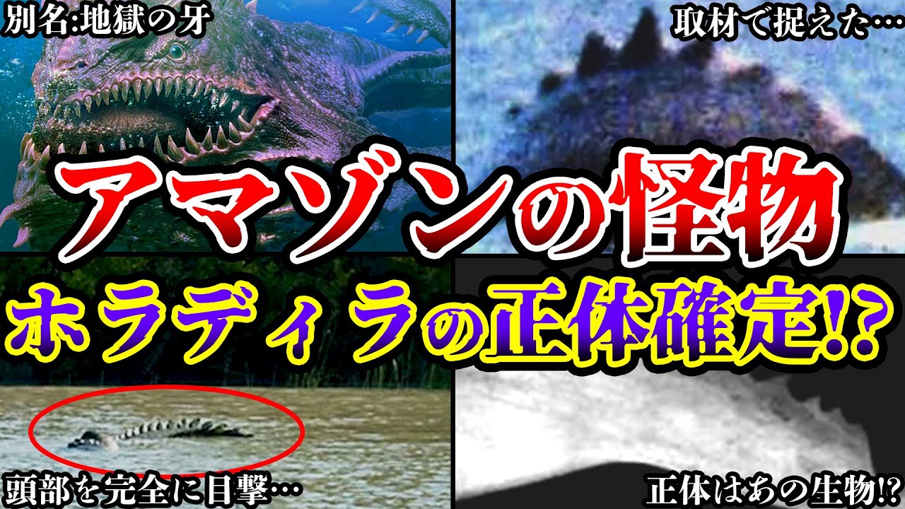【ゆっくり解説】正体が判明!?アマゾン伝説のUMA・怪物ホラディラの正体と秘境に生息する危険生物たちがヤバすぎる…!!!【未確認生物