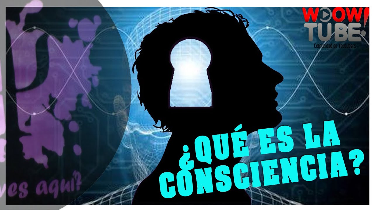 ¿QUÉ ES LA CONSCIENCIA? | por PsicoVlog mentos