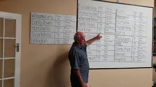 NZ Tree Crops Association Auckland January 2020 Plums