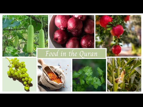 Foods Mentioned In Quran