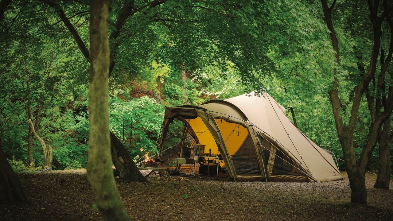 Кемпинг в новой палатке на пышном лесном кемпинге / Корейский кемпинг / zainarts / lolom