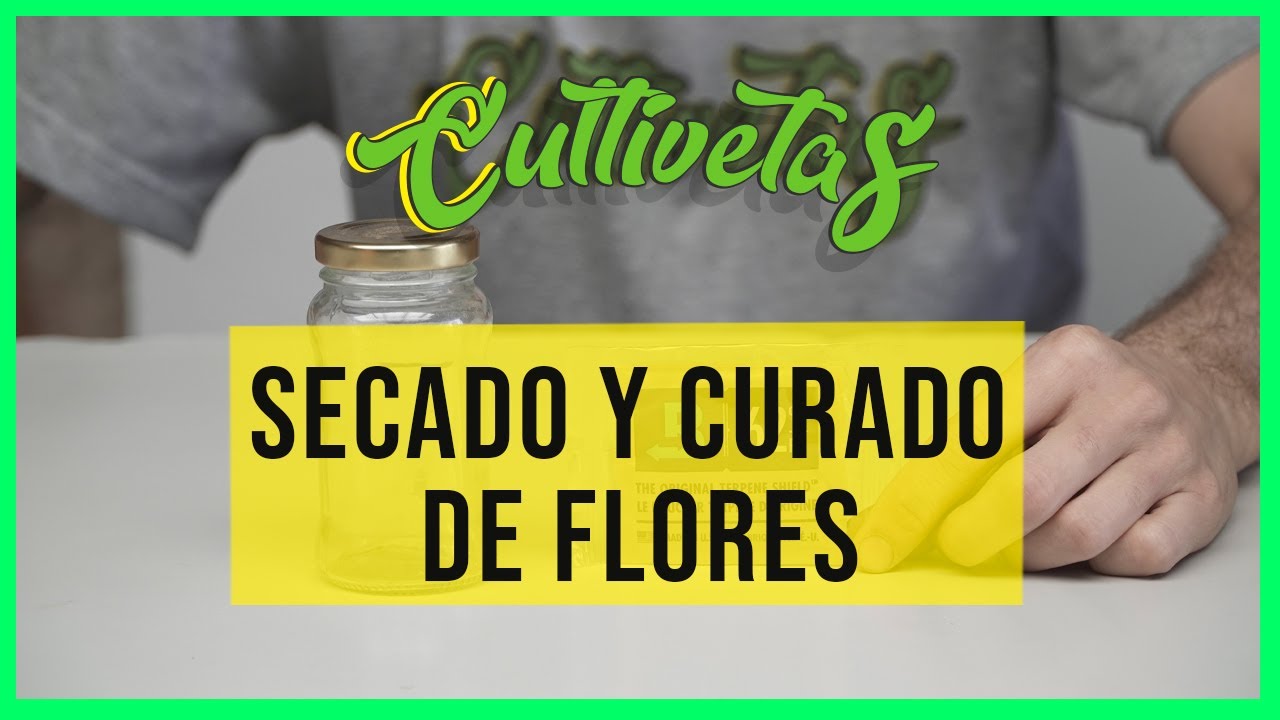 Secado y curado de las flores!