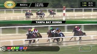 March 29, 2026  Race 6