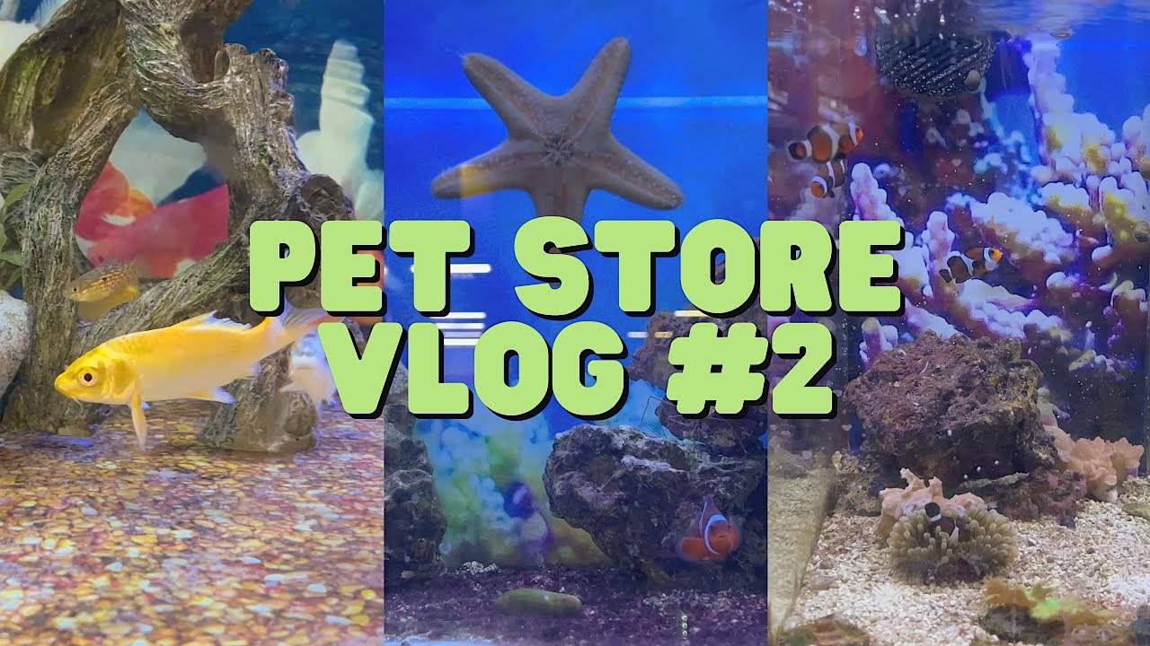 PET STORE VLOG 🐟🐠 | PART 2