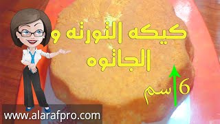 من النهارده هاتعملي الجاتوه و التورته في بيتك زي المحلات