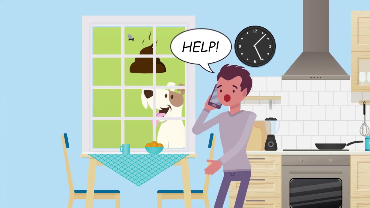 The Poop Patrol Birmingham AL Pet Waste Removal