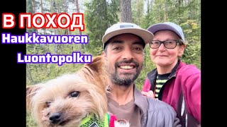 видео: 6.9.2025 Поход в лес. Маршрут средней тяжести. Нашли редкие грибы#жизньвфинляндии#лес#finland#forest картинка: 6.9.2025 Поход в лес. Маршрут средней тяжести. Нашли редкие грибы#жизньвфинляндии#лес#finland#forest