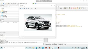 Membuat digital image processing dan greyscale serta menampilkan histogram dengan octave