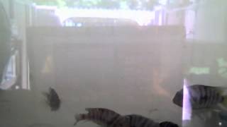 Capture 20131018 1