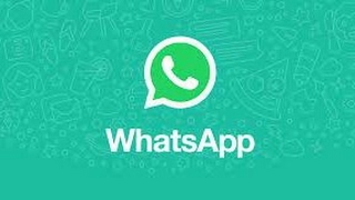 WhatsApp New Update multiple status(photos and videos) feature available screenshot 5