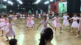 CSTD Exam Open House 2013 - Primary Syllabus (part 4)