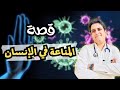 قصة المناعة في الانسان كاملة