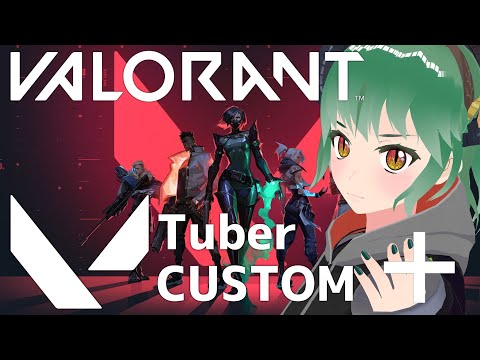 【 VALORANT 】Vtuber Custom + 【 魔竜/メロン視点 】#まりゅーちゃんねる