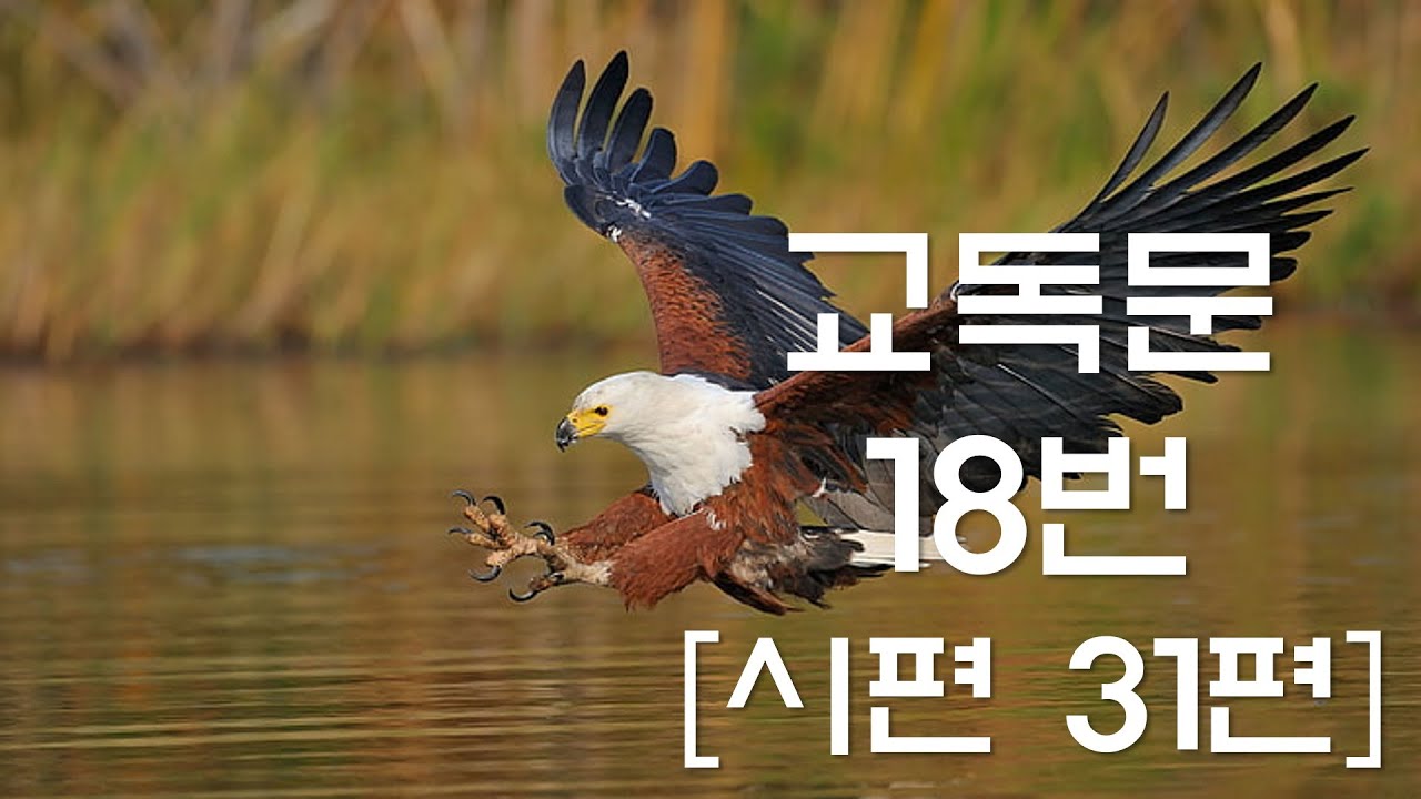 교독문낭독 18번 시편 31편 [Heritage of faith]