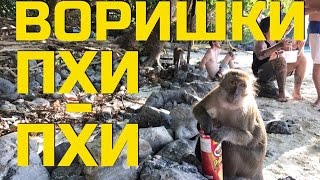 ВОРИШКИ НА ПХИ ПХИ ДОНЕ. ПЛЯЖ ОБЕЗЬЯН (MONKEY BEACH). ПХУКЕТ, ТАЙЛАНД 2017