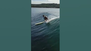 Thumbnail of This Longboard Wave is Just Perfect