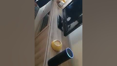 Alexa and Google Home infinite loop