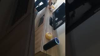 Celebrity Alexa and Google Home infinite loop Wealth