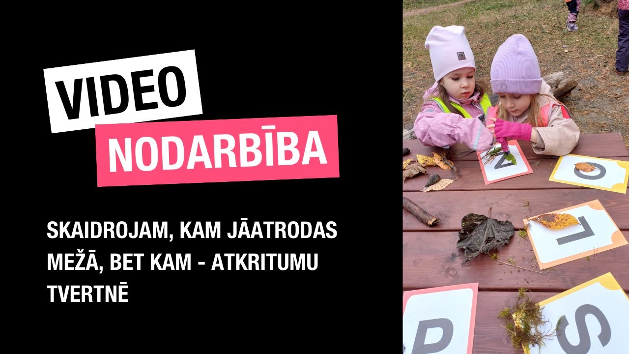 Skaidrojam, kam jāatrodas mežā, bet kam - atkritumu tvertnē