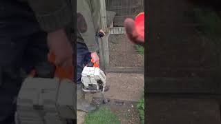 Ratting With Terriers And Lurchers Around The Chicken Coops