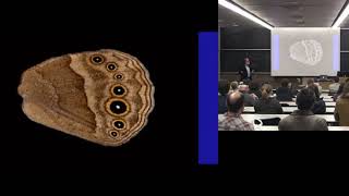UM EEB Special Seminar: Sean B Carroll, HHMI and University of Maryland