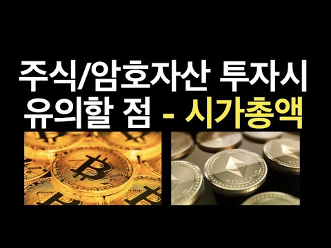 주식 암호자산 투자시 유의할 점 시가총액 