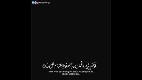 وأشرقت الأرض بنور ربها.. تلاوة خاشعة بصوت القارئ إدريس أبكر/ حالات واتس اب