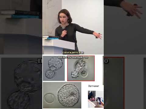 ЗАРОЖДЕНИЕ и КАТАСТРОФА БРОНЗОВОГО ВЕКА