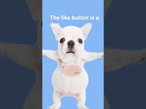 u am pibble #dog