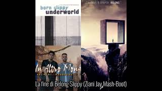 La Fine del mondo vs. Belong & Born Slippy (Ziani Jay Mash-Boot)