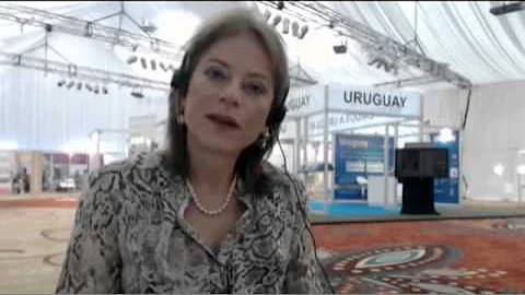 Nancy Jesurun-Clements at the GCARD2 on the road m...