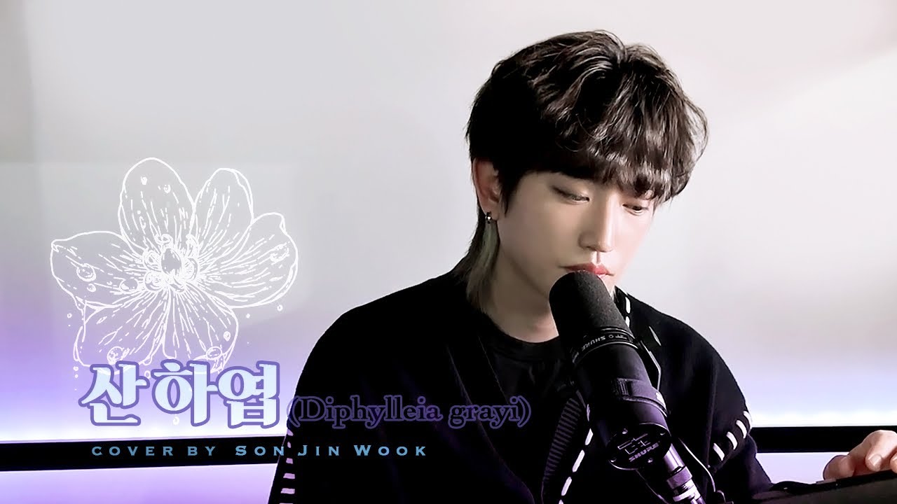 🎤[눅가부] 손진욱- 산하엽(종현) I Coverby SON JINWOOK