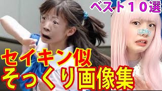 セイキンの顔に似ている画像ベスト１０選！SEIKINそっくり画像集！セイキンの顔は怖い？seikintvエイの裏 10選