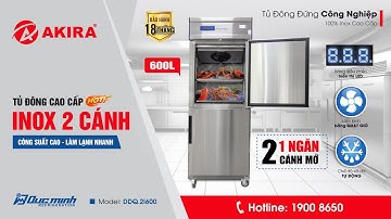 Tủ đông đứng 1 ngăn 2 cánh INOX Đức Minh DDQ.2I600 | Làm lạnh Quạt gió | Dung tích 600 Lít