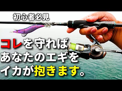 【初心者必見】釣れるはずのイカを逃すNG行為！春エギングで気を付けるべきポイントを解説します。