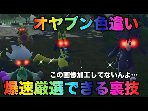 WZ20 Secrets!!] Select 6 Boss Pokemon at the same time!! [Pokemon