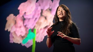 The wonders of the molecular world, animated | Janet Iwasa