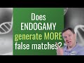 Are More False DNA Matches Likely In Endogamous Populations?