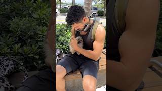 She loves all the attention #pomeranian #puppy