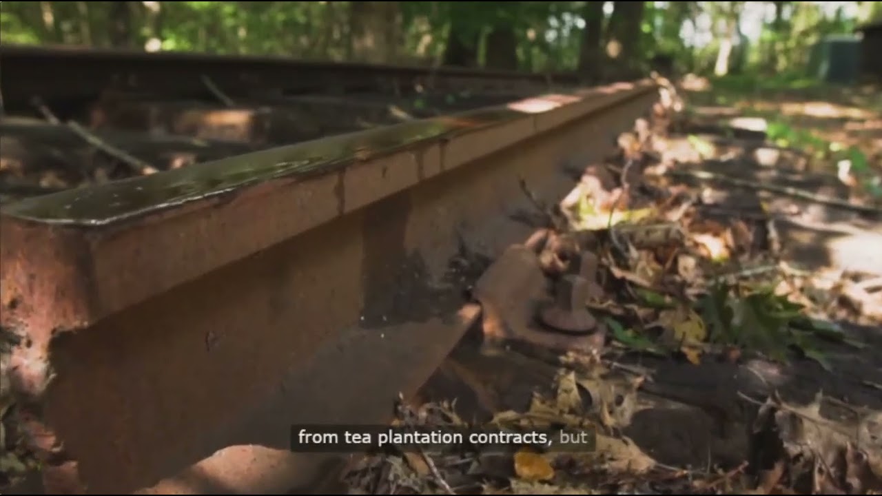 The Great Indian Tea Stock Scam ☕️☕️