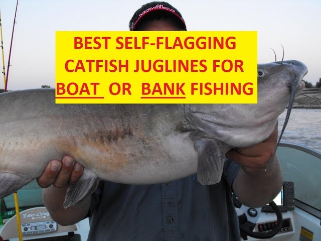 BEST SELF FLAGGING CATFISH JUGLINES FOR BOAT OR BANK FISHING 