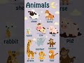 Learn Forest Animals Name For Kids #animals #kidsvideo #shortsvideo #shortvideo #shorts #short