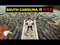 50 Wild Facts About South Carolina
