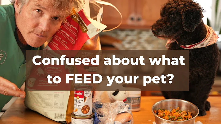 Why They Confuse You About What to Feed your Pet - DayDayNews