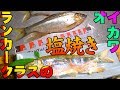 オイカワを釣って食う ランカークラスの塩焼きだ!!