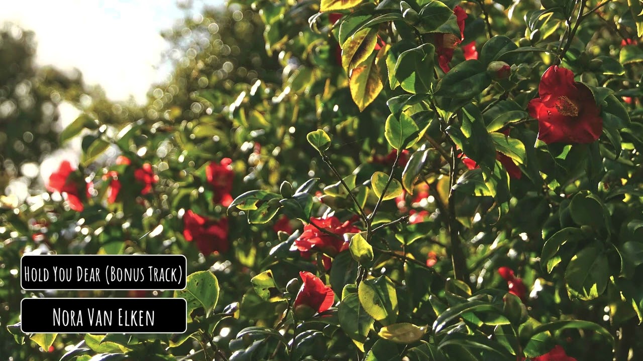 Ver Nora Van Elken - Hold You Dear (Bonus Track) no YouTube Ver Nora Van Elken - Hold You Dear (Bonus Track) no YouTube