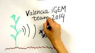 4.2/Measuring public opinion. MOOC iGEM HS