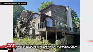 Tim Stark's 'Wildlife in Need' roadside zoo in Charlestown, Indiana, now up for auction